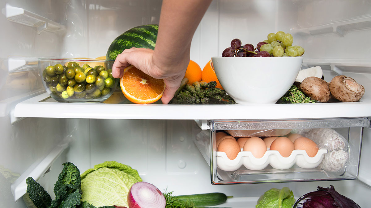 australia-s-most-reliable-fridge-brands-choice