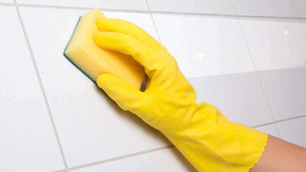 How to rid of mould CHOICE