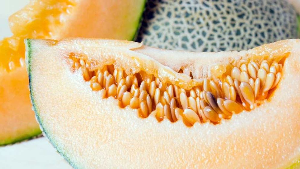 Contaminated rockmelon recalled as death toll rises - CHOICE