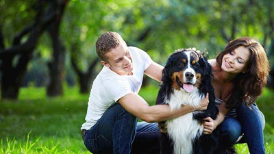 Pet supplies and products advice, tips and articles - CHOICE